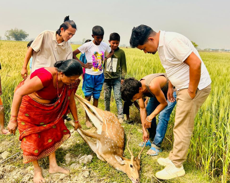 image Living with Wildlife: Ours Challenge What You Need to Know..